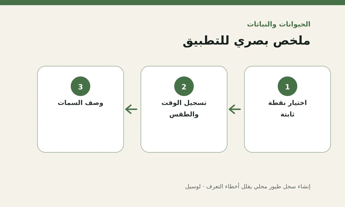 مخطط توضيحي يلخص خطوات تطبيق: إنشاء سجل طيور محلي يقلل أخطاء التعرف