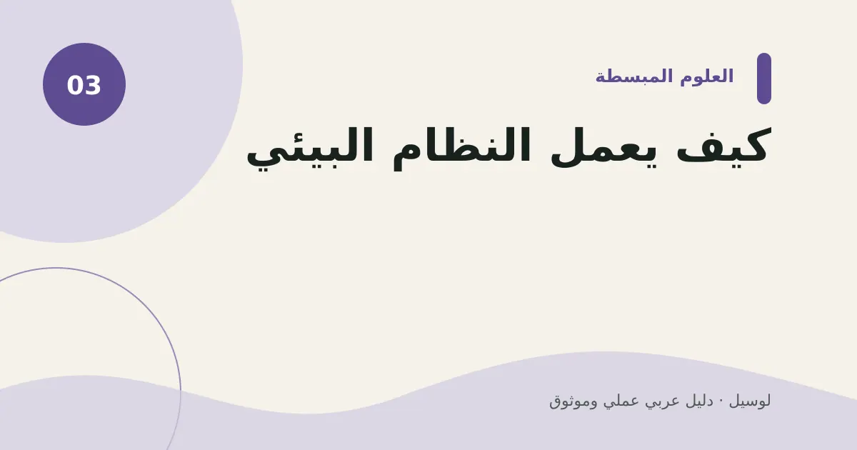صورة توضيحية لمقال: كيف يعمل النظام البيئي؟