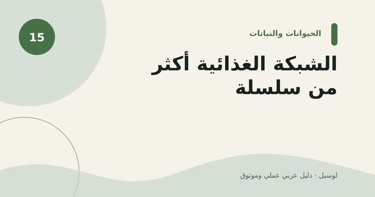 صورة توضيحية لمقال: الشبكة الغذائية أكثر من سلسلة