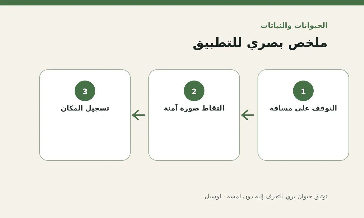 مخطط توضيحي يلخص خطوات تطبيق: توثيق حيوان بري للتعرف إليه دون لمسه