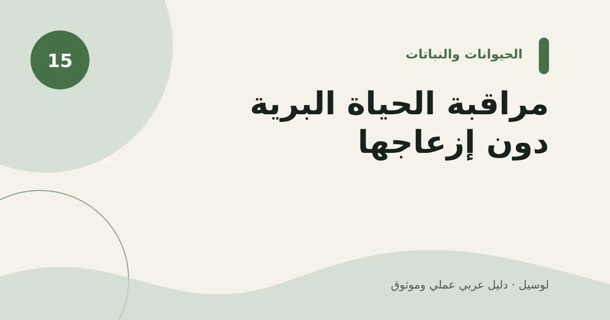 صورة توضيحية لمقال: مراقبة الحياة البرية دون إزعاجها