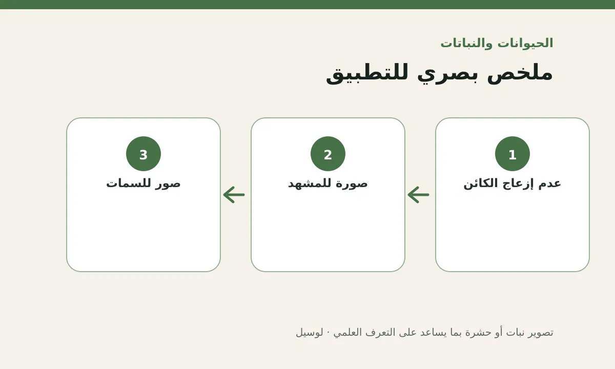 مخطط توضيحي يلخص خطوات تطبيق: تصوير نبات أو حشرة بما يساعد على التعرف العلمي