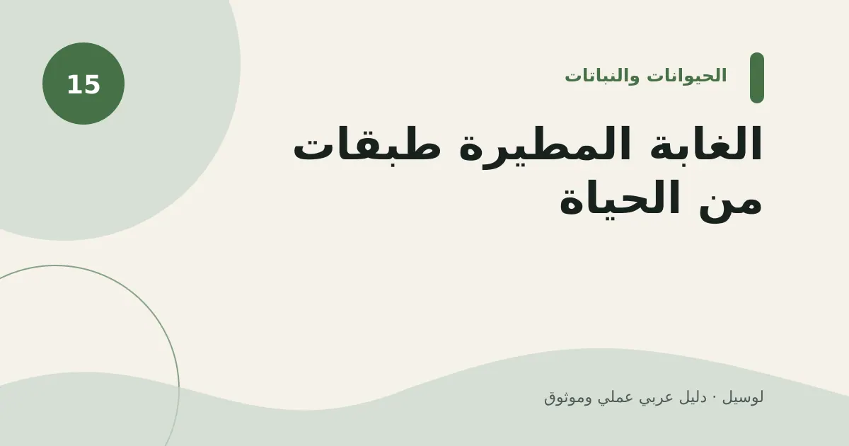 صورة توضيحية لمقال: الغابة المطيرة طبقات من الحياة