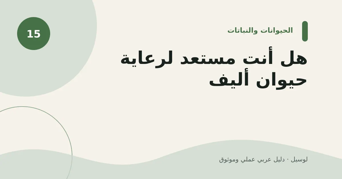 صورة توضيحية لمقال: هل أنت مستعد لرعاية حيوان أليف؟